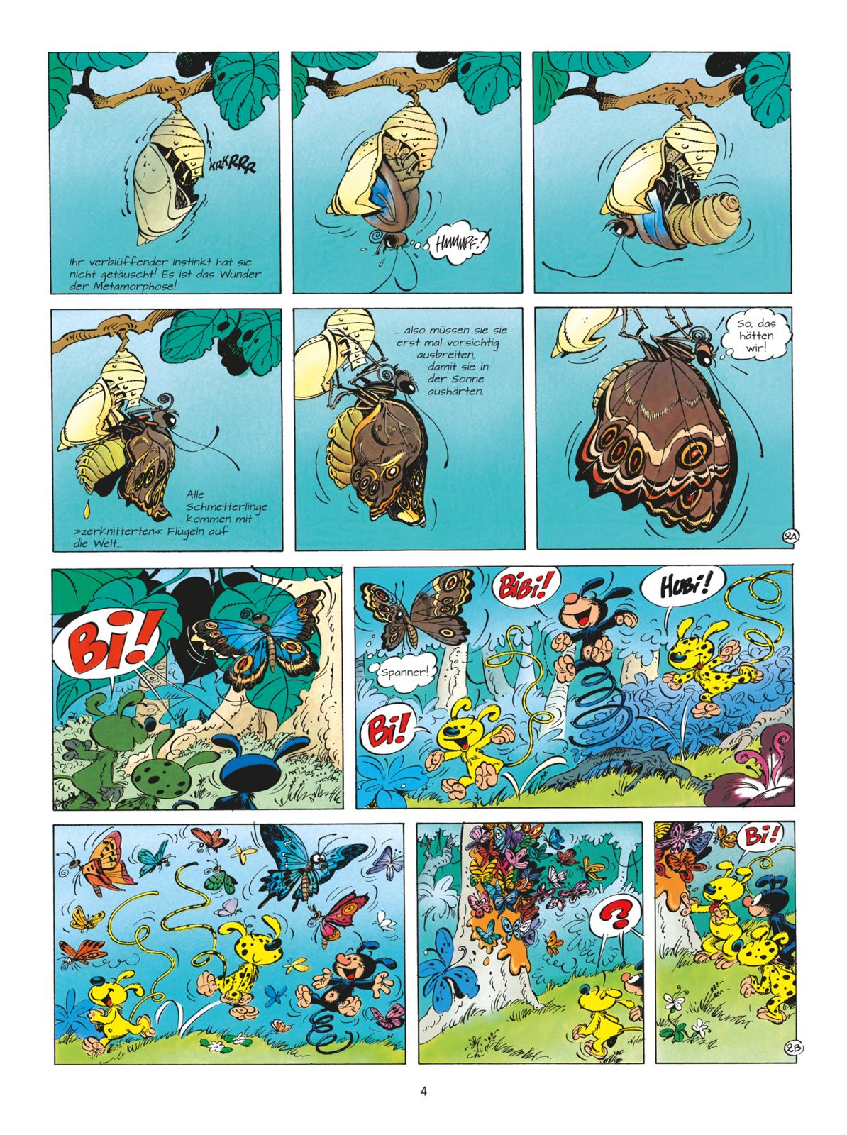 Marsupilami Bd.24: Die Schmetterlingsjäger 