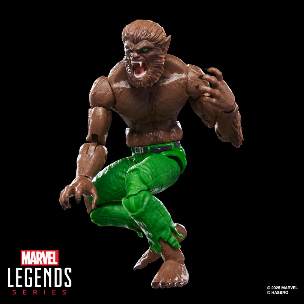 Marvel Legends AF: Werewolf by Night (BaF: Executioner) 15cm Erwachsener, Männlich, Mann, Person, Figur