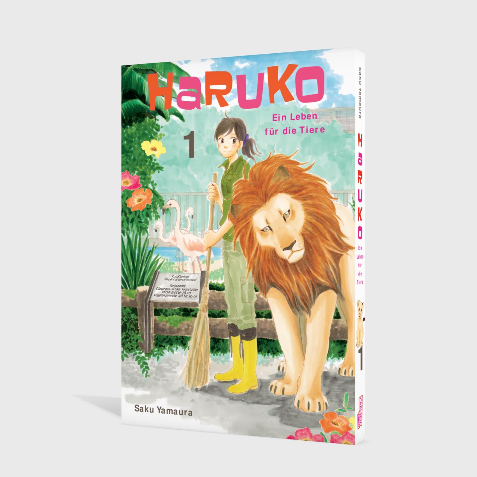 Haruko - Ein Leben für die Tiere 1 Buch, Veröffentlichung, Löwe, Comics, Person