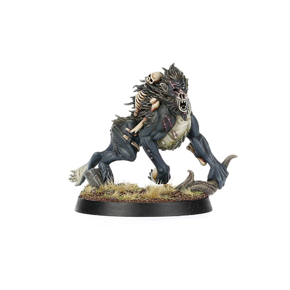 Age of Sigmar: Warcry - Royal Beastflayers Age of Sigmar: Warcry - Royal Beastflayers