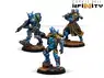 Infinity: PanOceania - Kestrel Expansion Pack Gamma