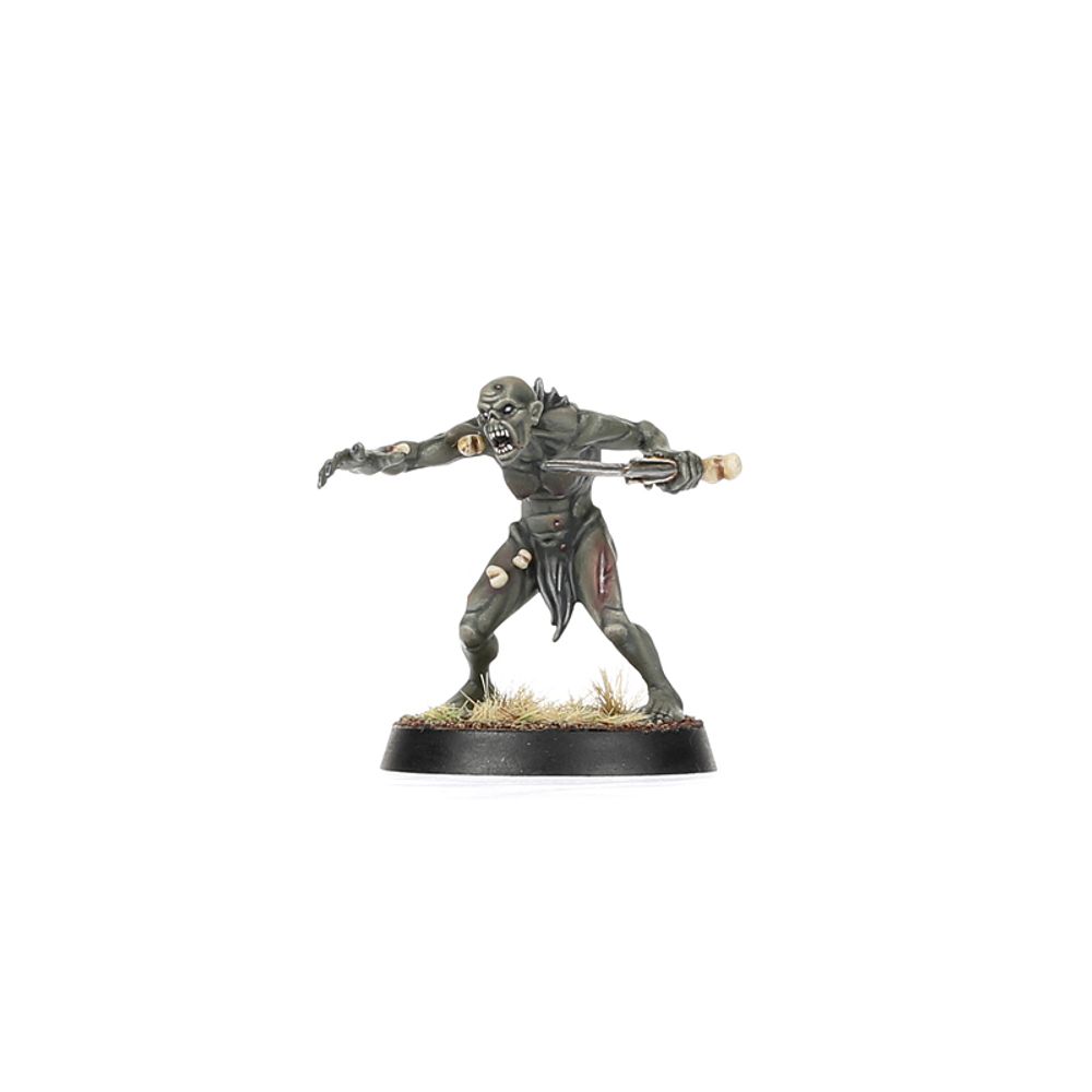 Age of Sigmar: Warcry - Royal Beastflayers Age of Sigmar: Warcry - Royal Beastflayers