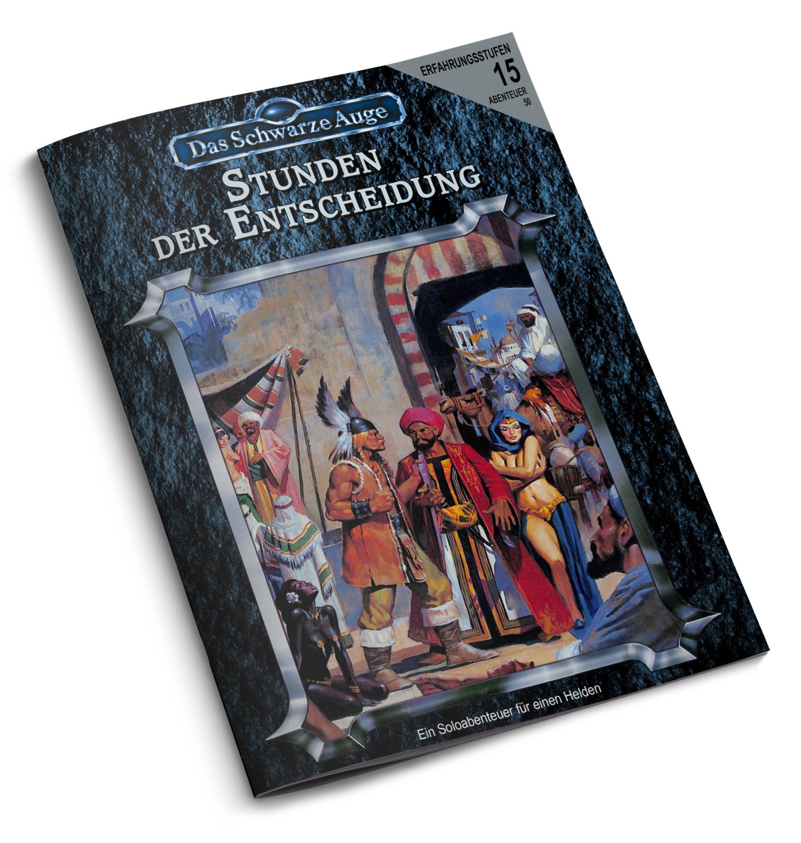 Buchcover, Stunden der Entscheidung, Das Schwarze Auge, Abenteuerbuch, Malehelden
