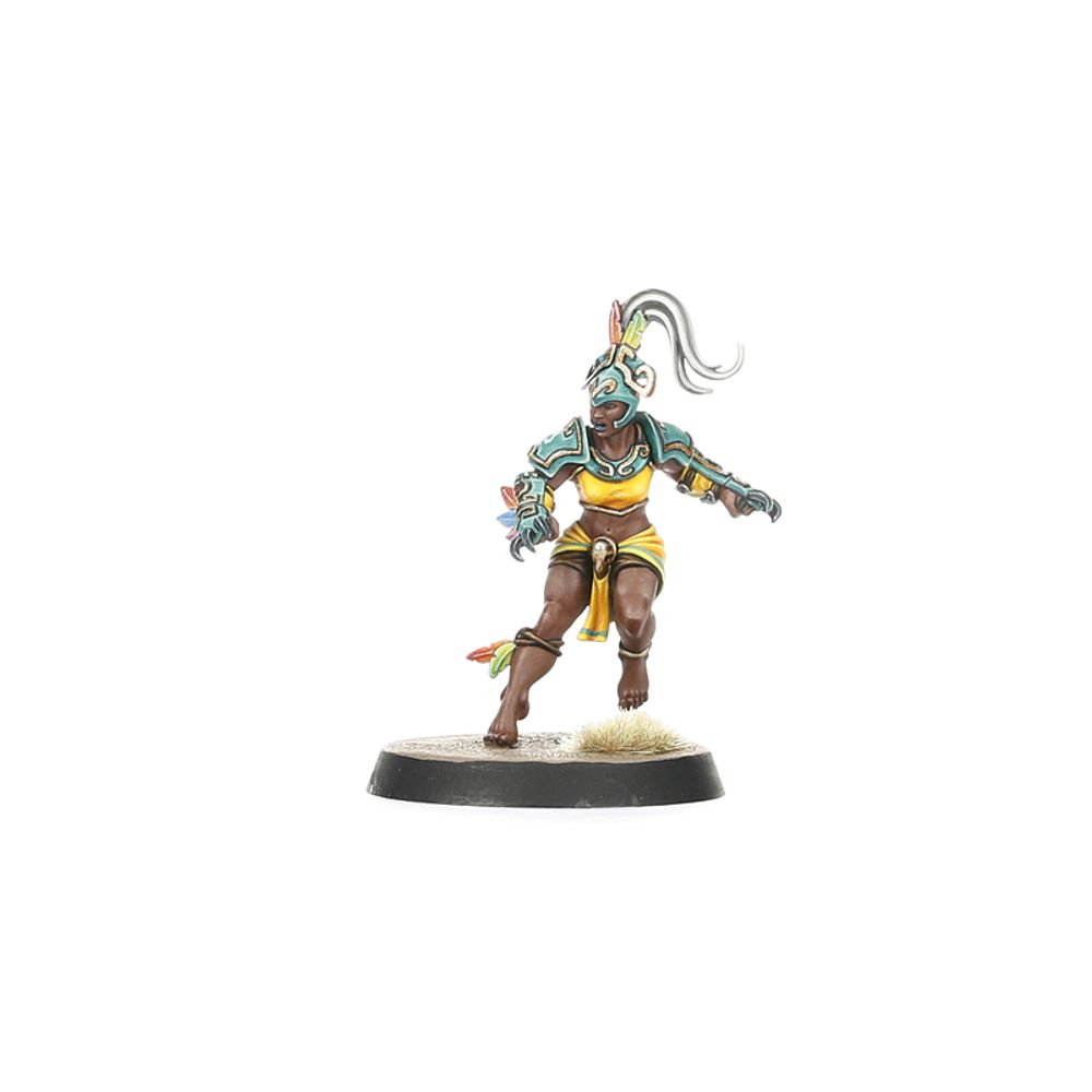 Blood Bowl: Amazon Team Blood Bowl: Amazon Team