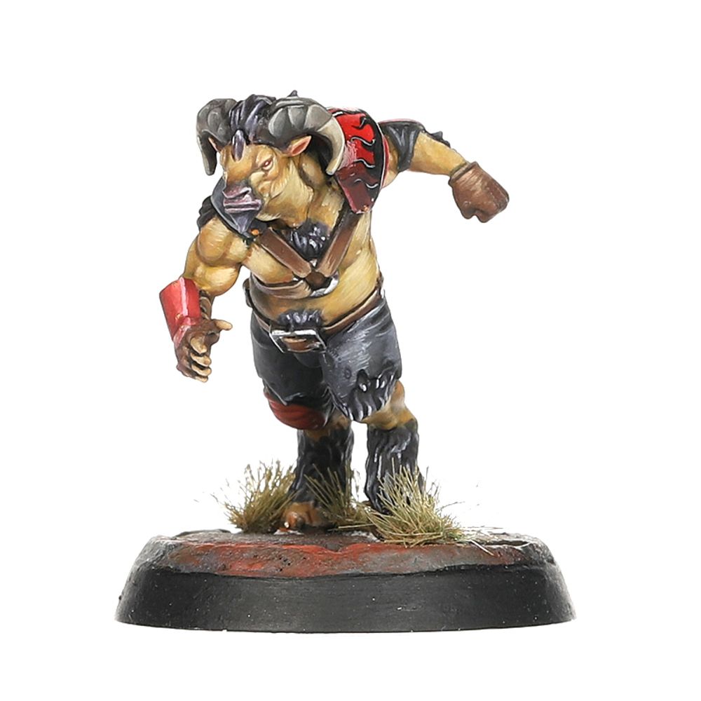 Blood Bowl: Chaos Chosen Team Blood Bowl: Chaos Chosen Team