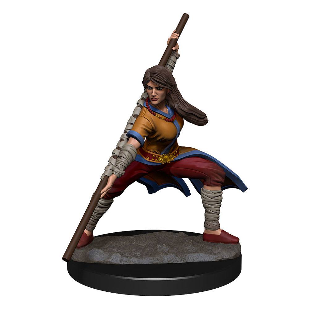 D&D Miniatures: Human Monk Female