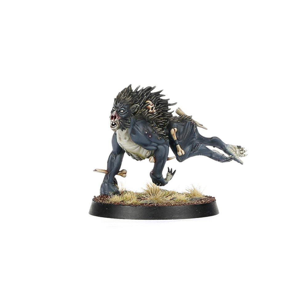 Age of Sigmar: Warcry - Royal Beastflayers Age of Sigmar: Warcry - Royal Beastflayers