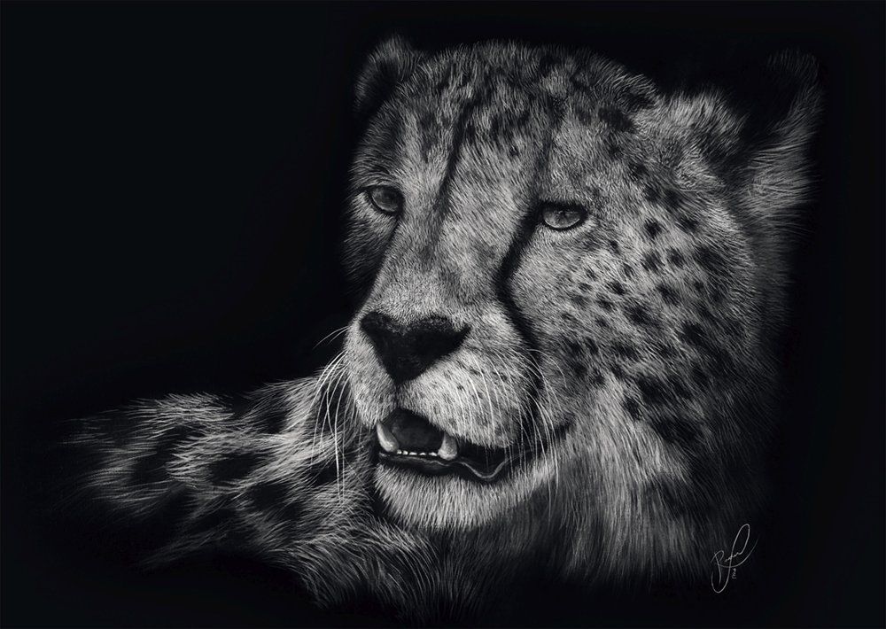 Puzzle: Gepard im Zeichen der Anmut Leopard, Tier, Fell, Schwarz-Weiß, Porträt