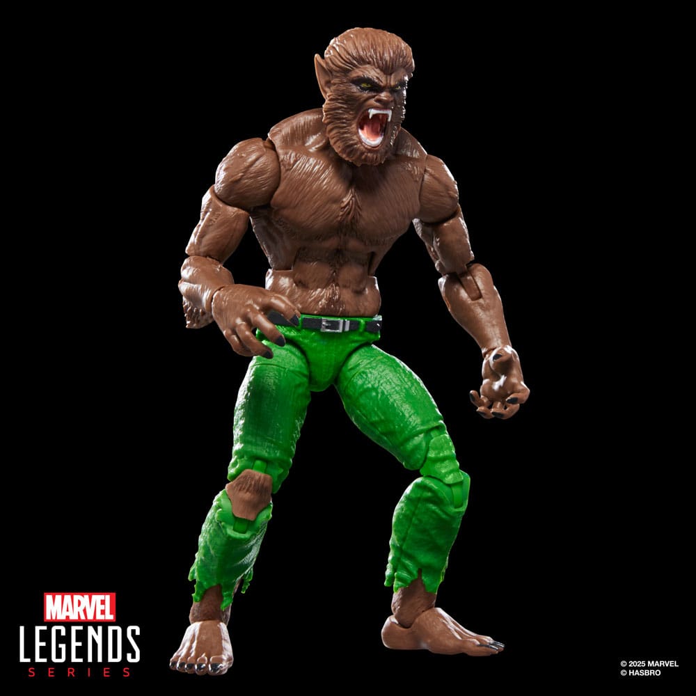 Marvel Legends AF: Werewolf by Night (BaF: Executioner) 15cm Erwachsener, Männlich, Mann, Person, Figur
