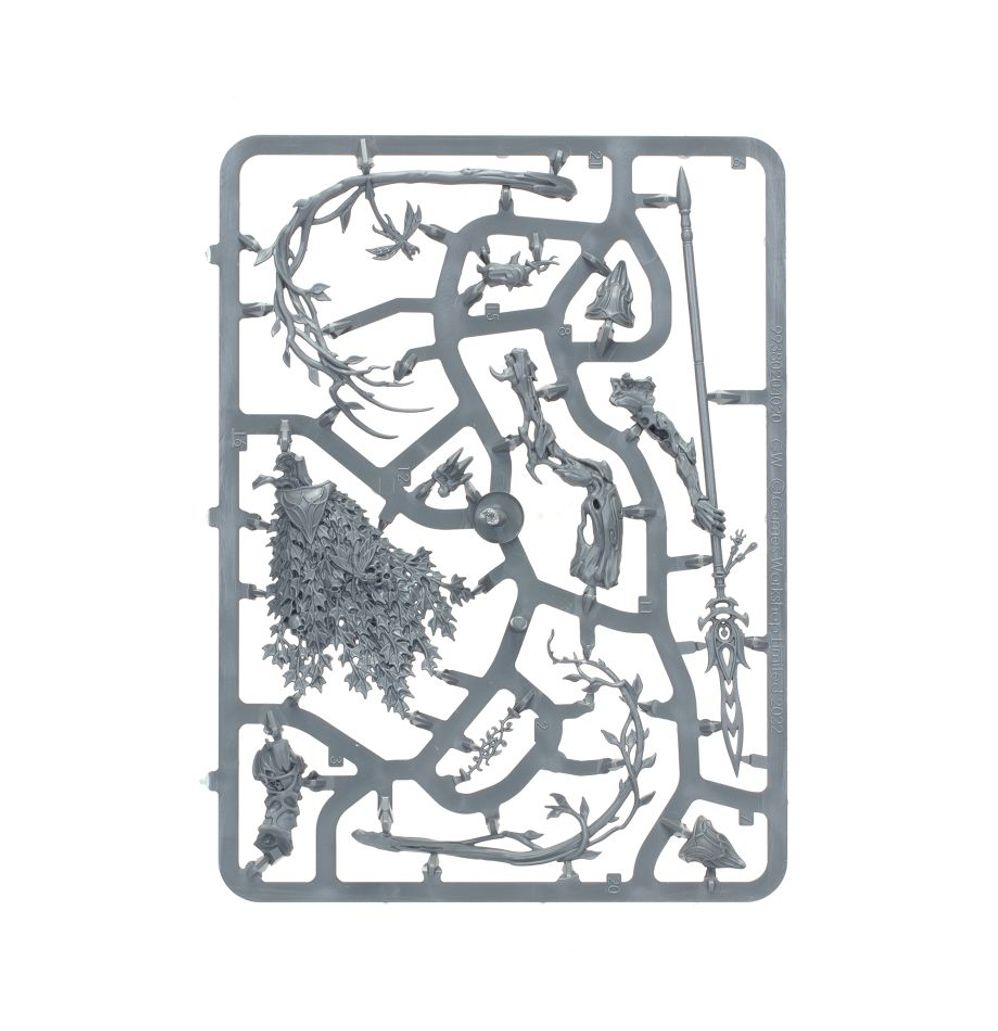 Warhammer: Sylvaneth - Lady of Vines Warhammer: Sylvaneth - Lady of Vines