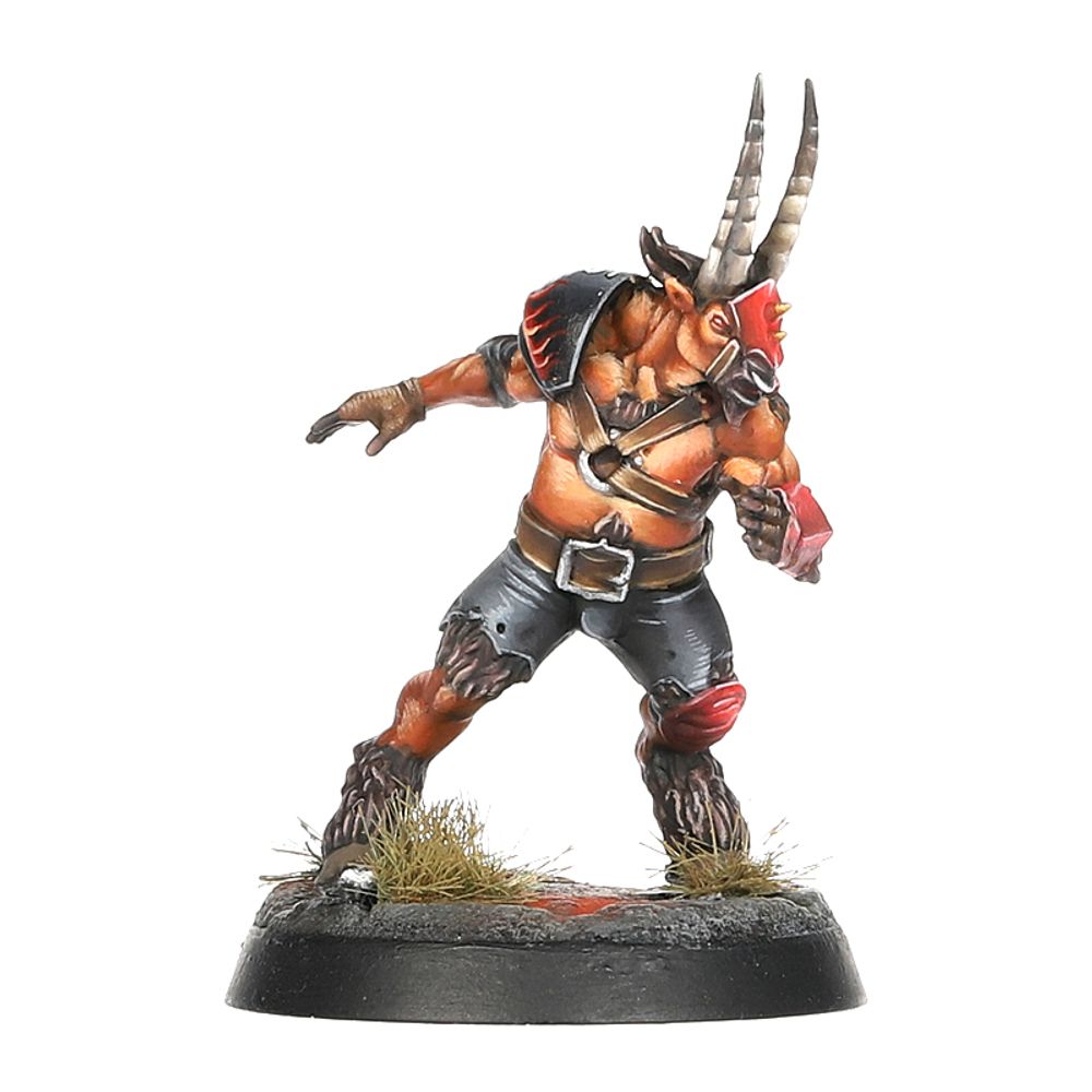 Blood Bowl: Chaos Chosen Team Blood Bowl: Chaos Chosen Team