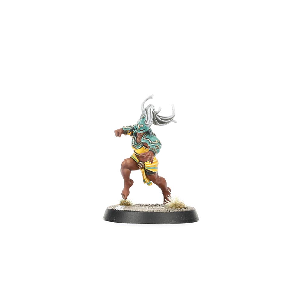 Blood Bowl: Amazon Team Blood Bowl: Amazon Team