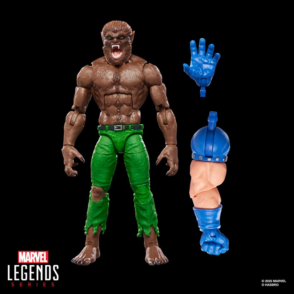 Marvel Legends AF: Werewolf by Night (BaF: Executioner) 15cm Erwachsener, Männlich, Mann, Person, Figur