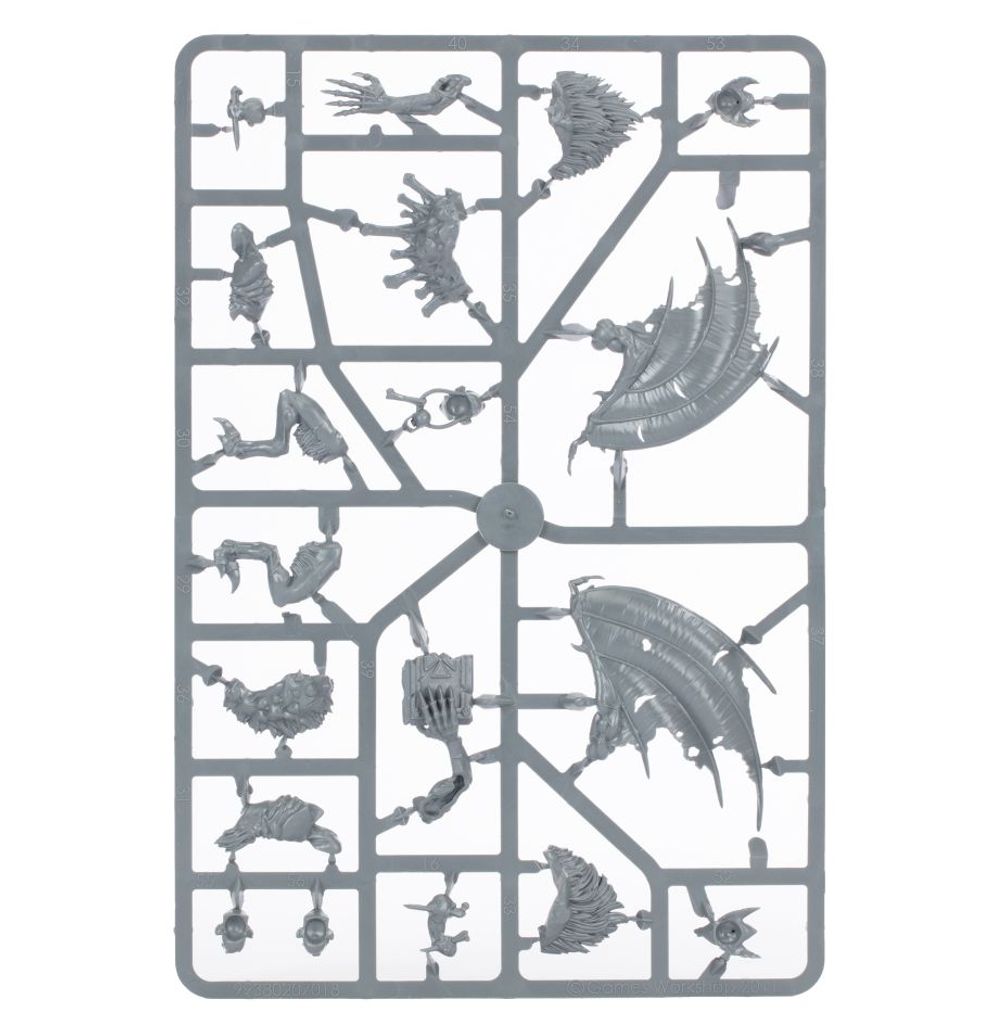Warhammer: Flesh-Eater Courts - Crypt Flayers