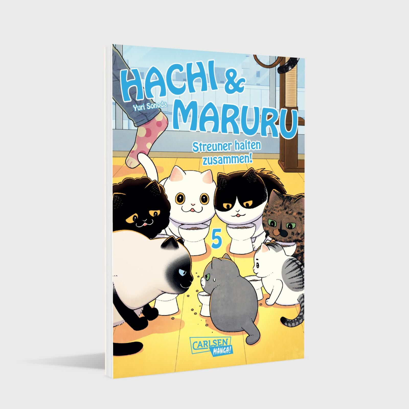 Hachi & Maruru - Streuner halten zusammen Bd.5 Katzenbuch, Comic, Manga, Tierische Familie, Studiomaterial?
