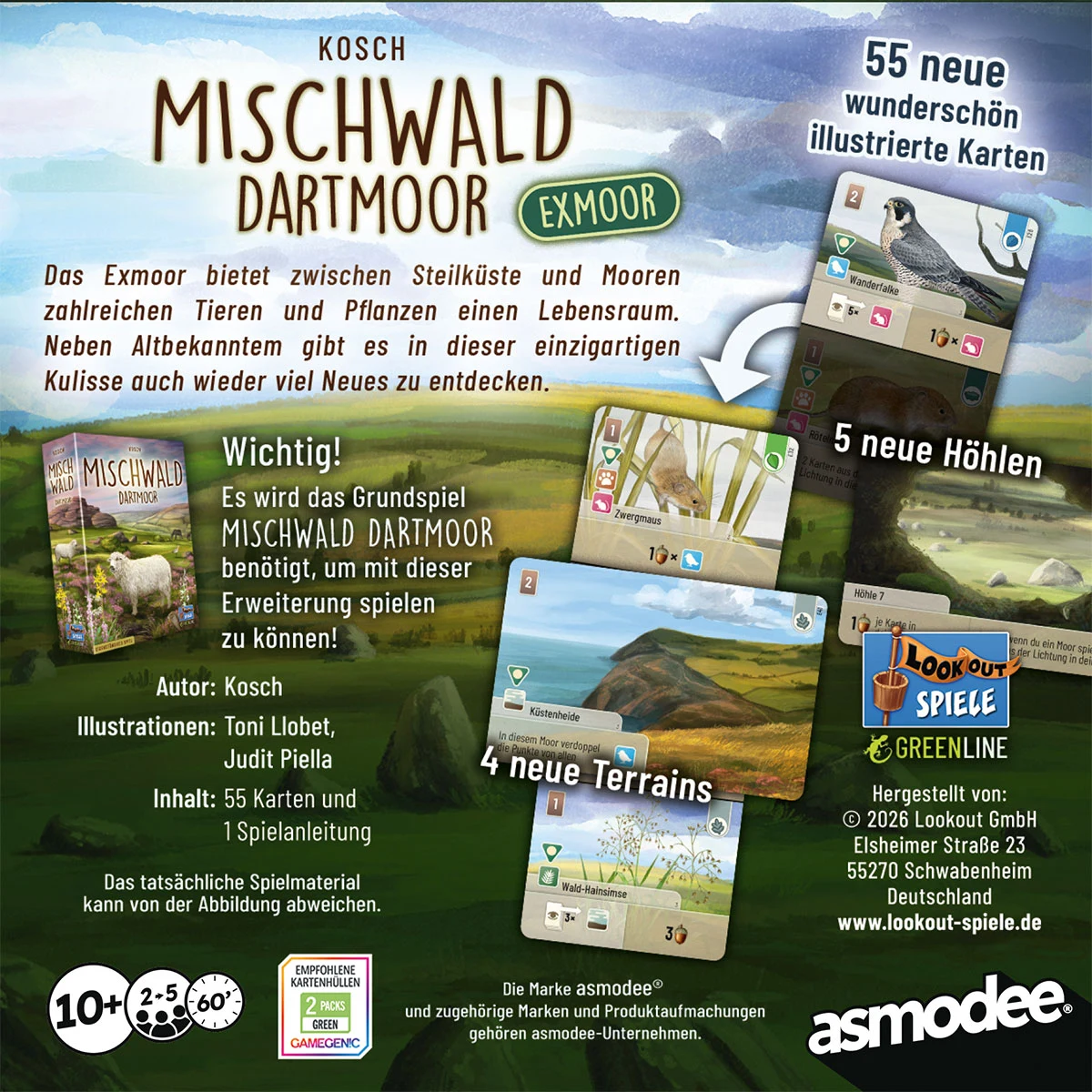 Mischwald - Dartmoor Exmoor