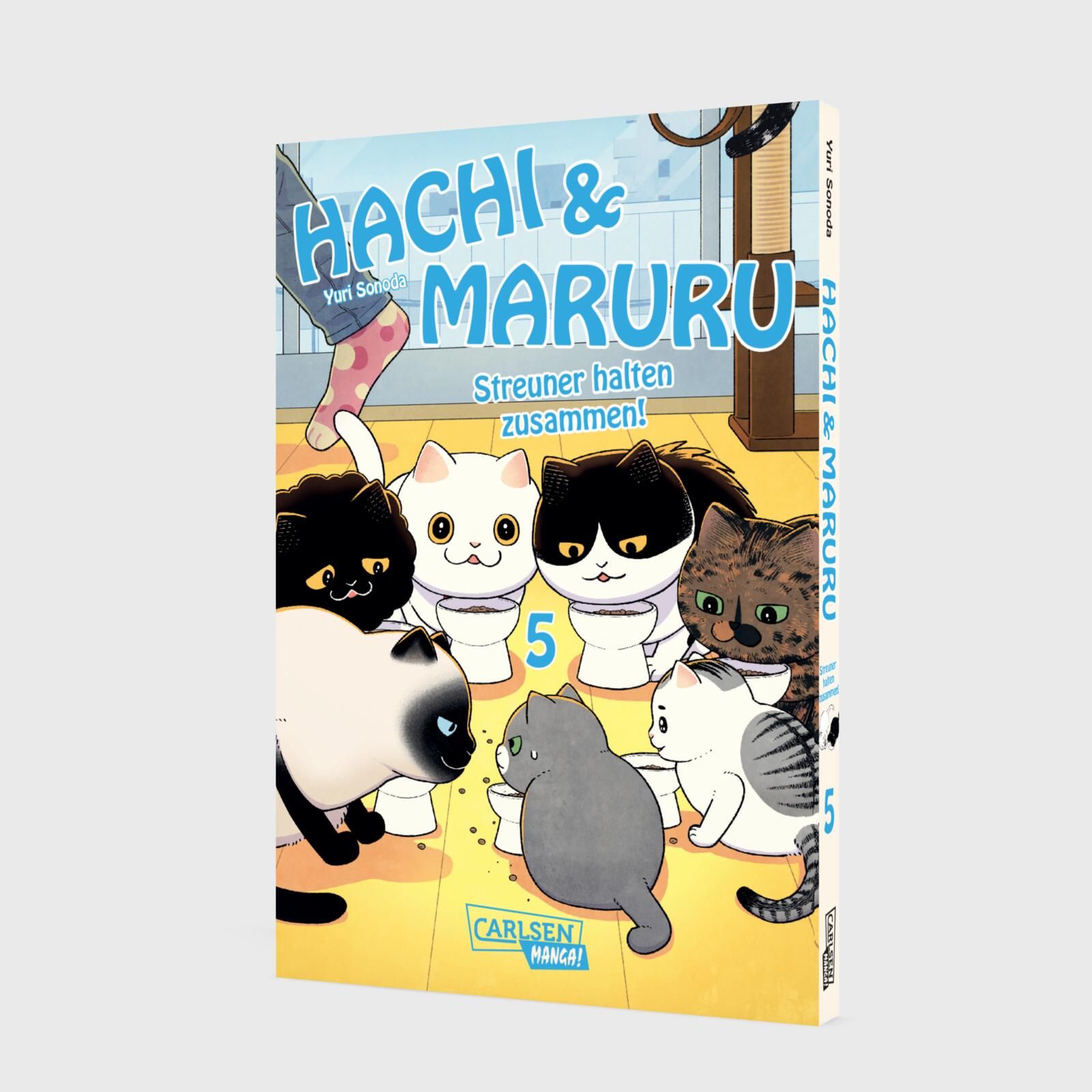 Hachi & Maruru - Streuner halten zusammen Bd.5 Manga, Katzen, Comic, Kunstwerk, 5. Band