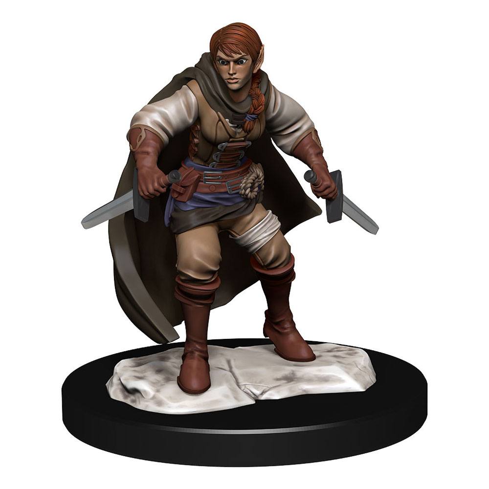 D&D Miniatures: Half-Elf Rogue Female
