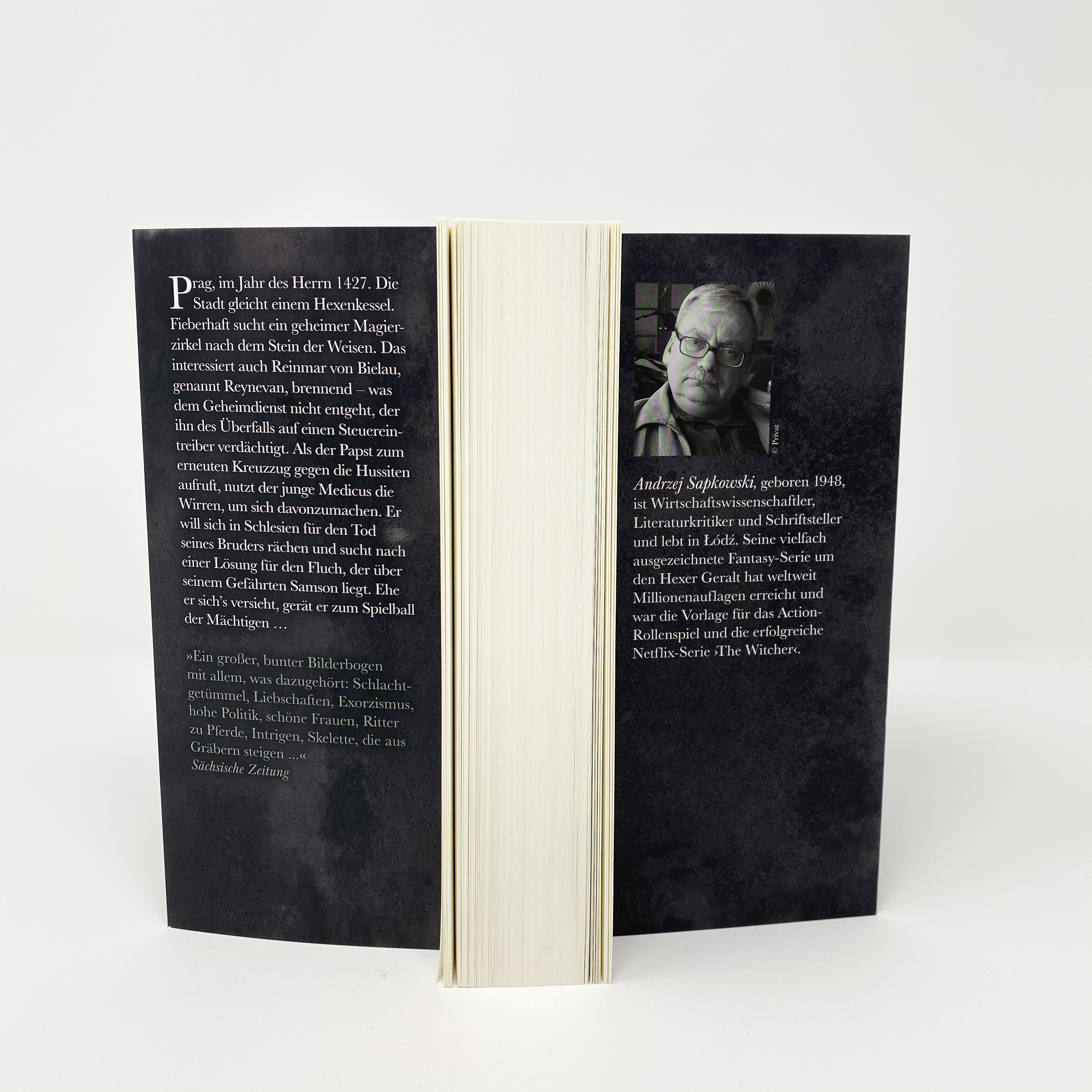 Narrenturm Trilogie Bd.2: Gottesstreiter Narrenturm Trilogie Bd.2: Gottesstreiter