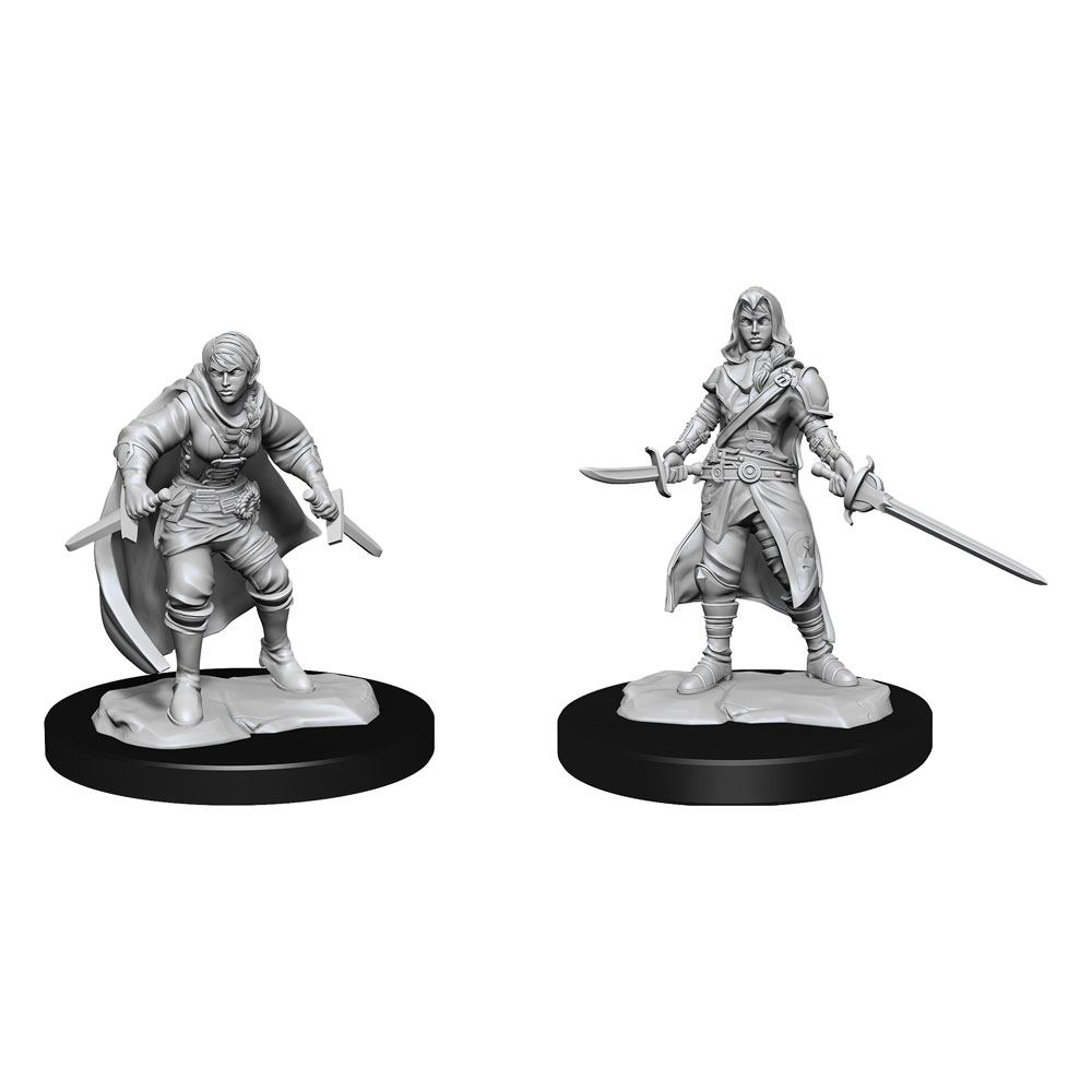 D&D Miniatures: Half-Elf Rogue Female D&D Miniatures: Half-Elf Rogue Female