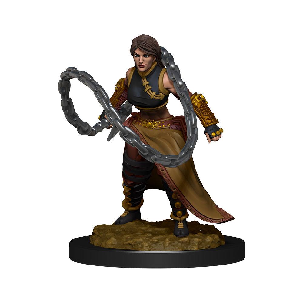 D&D Miniatures: Human Monk Female