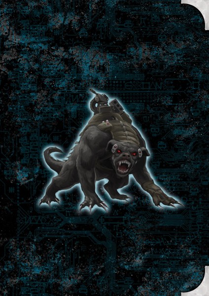 Shadowrun dt.: Schattendossier 3 Limitierte Edition Shadowrun dt.: Schattendossier 3 Limitierte Edition