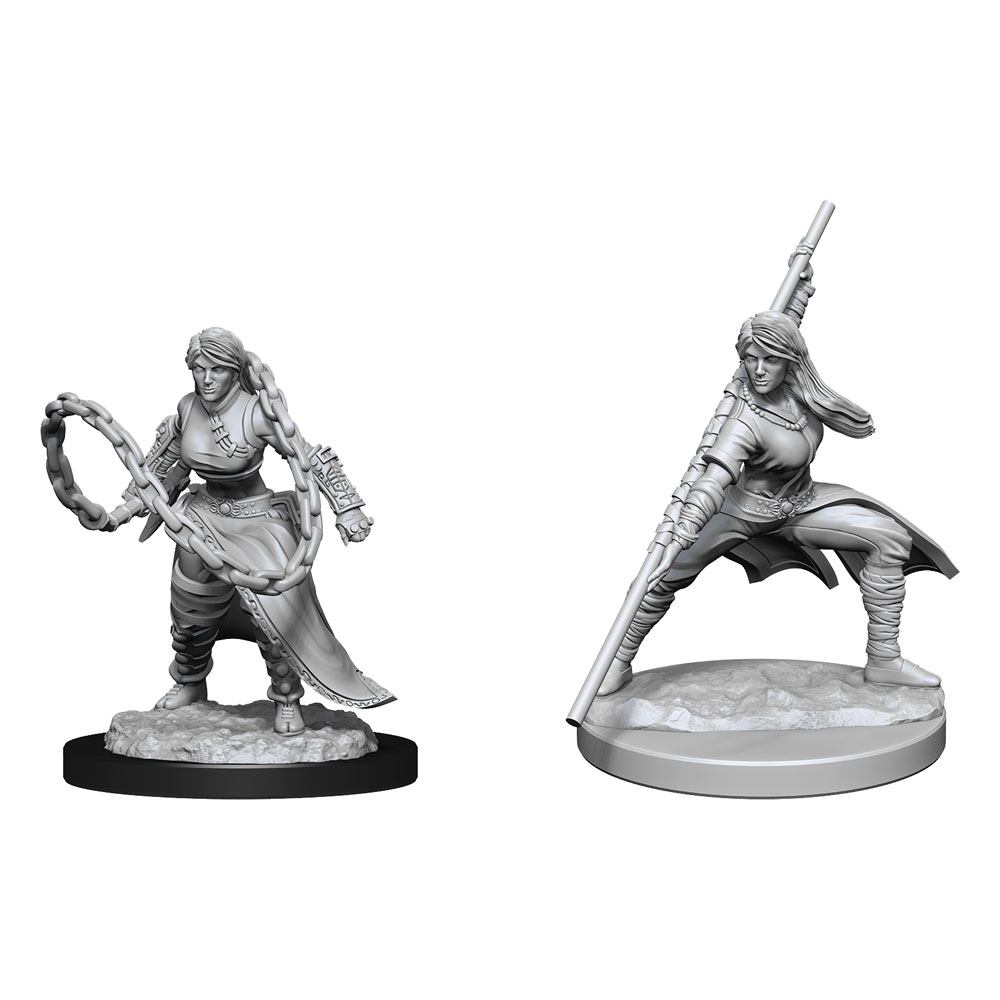 D&D Miniatures: Human Monk Female